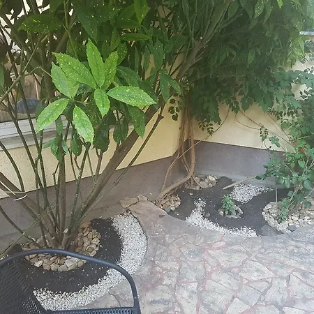 Hotel Oswaldo Budapeste