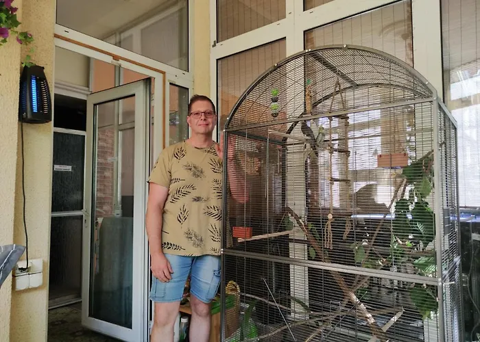 Szálloda Oswaldo 2*