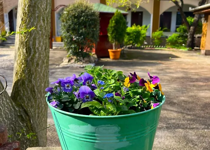 Hotel Oswaldo Budapest