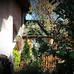 Oswaldo Budapest