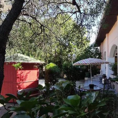 Oswaldo 2* ブダペスト