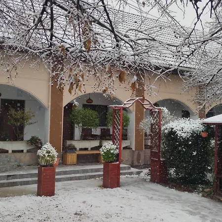 Oswaldo 2* ブダペスト