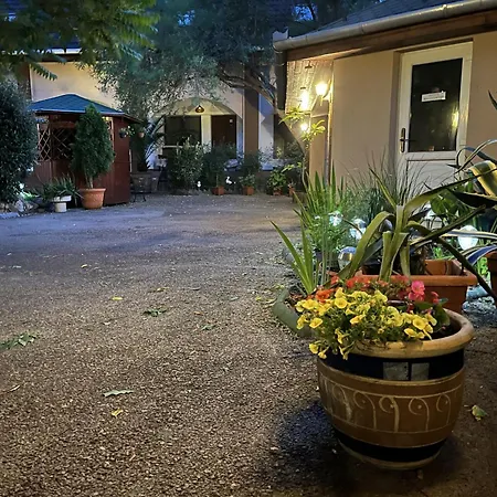 Oswaldo 2* ブダペスト