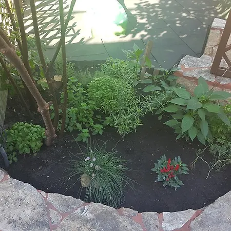 Oswaldo ホテル 2*