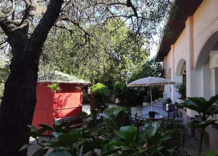 Oswaldo 2* Budapeşte