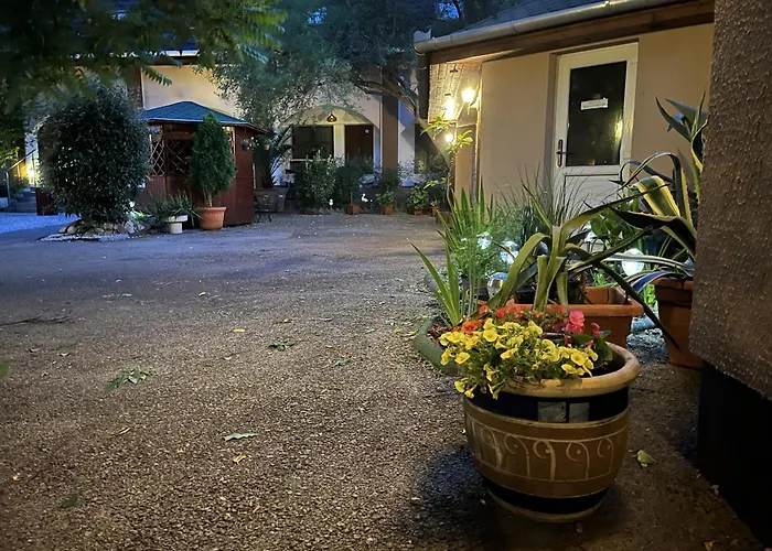 Oswaldo 2* Budapeşte